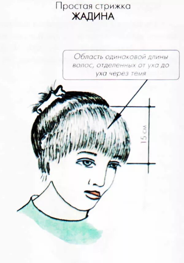 Как стричь прямую. Схема стрижки челки полукругом. как стричь челку схема. подстричь челку схема. схема стрижки прямой челки.