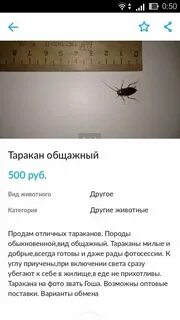 Песня пропали тараканы