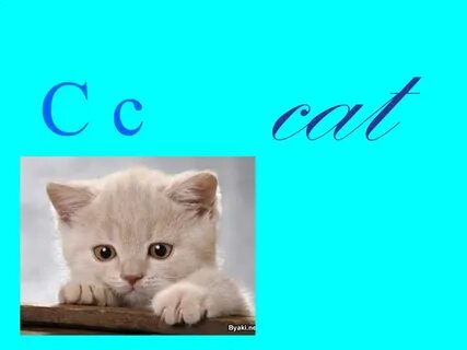 C выполнить