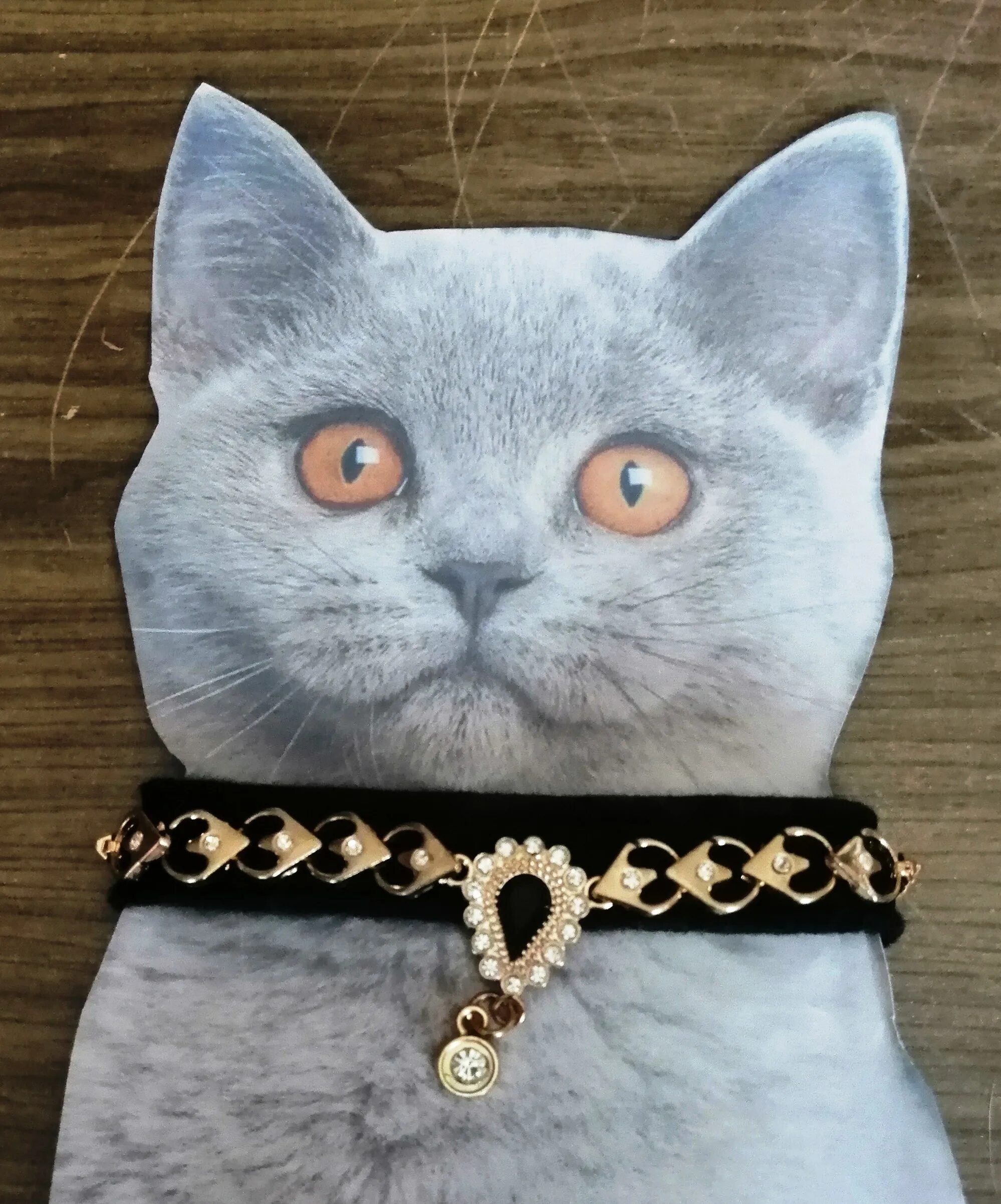 Украшения для кошек на шею. Ошейник для кошек декоративный. Колье для кота. Кот в ожерелье.