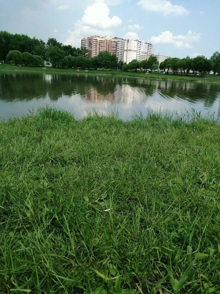 Спасение полюстровский проспект. Полюстровский 59. Полюстровский проспект 50. Полюстровский проспект, дом 59, корпус 3, лит. Полюстровский 59 спасение.