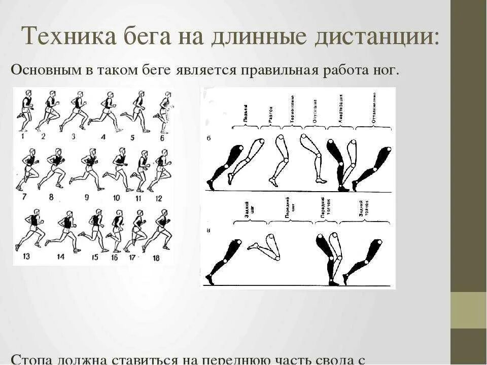 Бег техника для начинающих. Техники бега на длинные дистанции. Бег на длинные дистанции техника. Техника выполнения бега на длинные дистанции. Правильная техника бега на длинные дистанции.