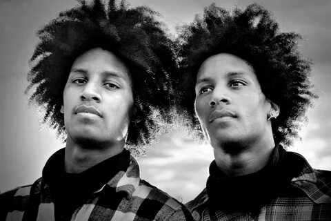 Twin partner
