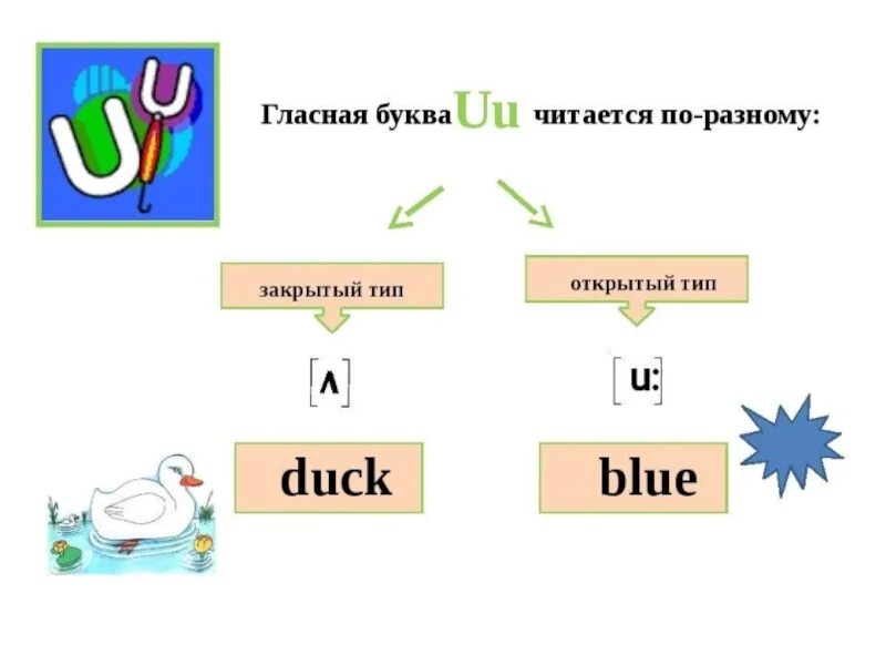 Буква u закрытый слог в английском. Буква u в английском правила чтения. чтение буквы uu в английском языке. буква u в английском языке как читается. звуки буквы u в английском языке.