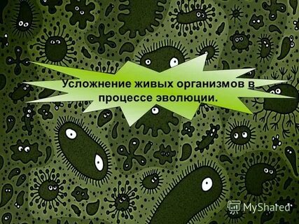 Усложнение эволюции