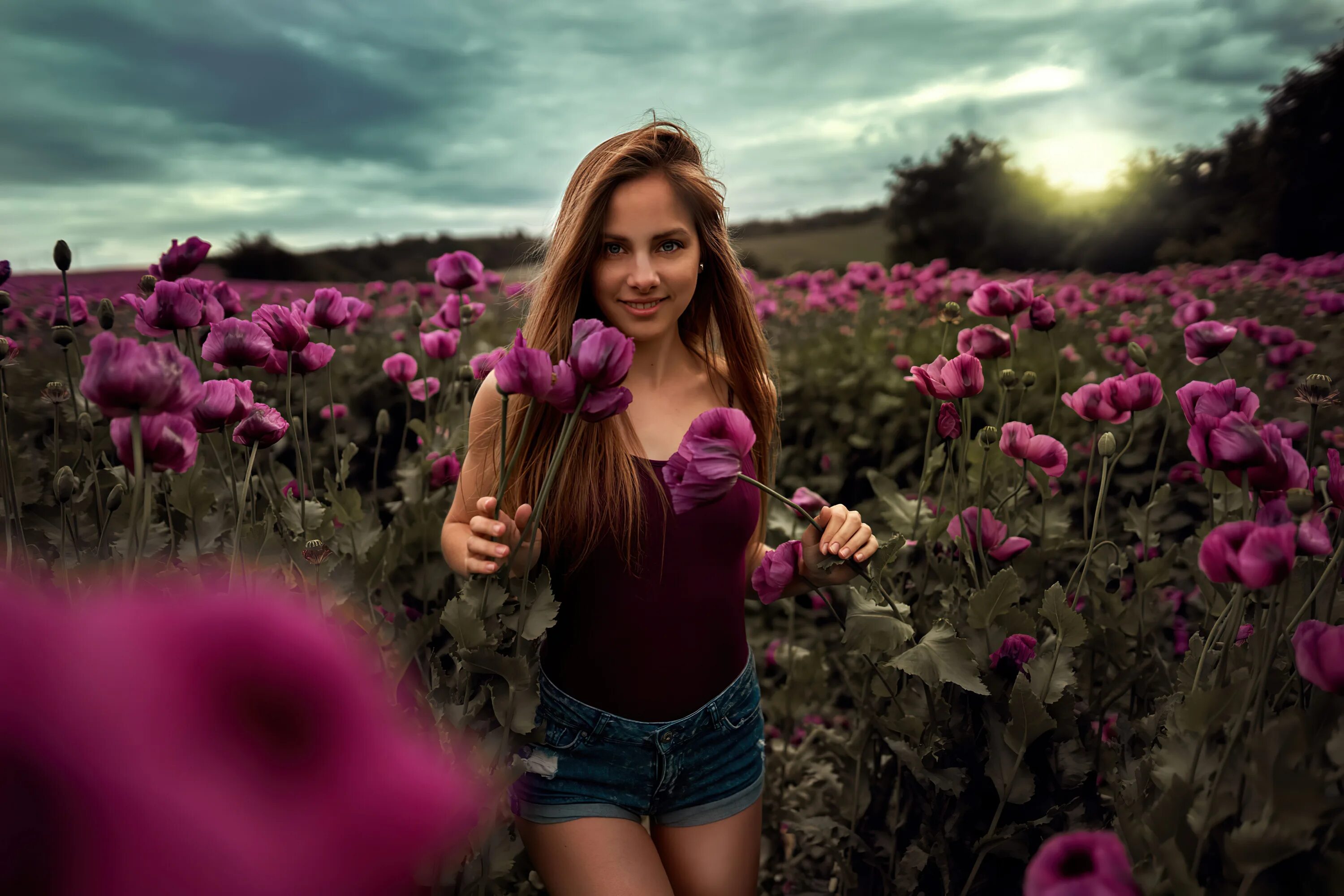 Models field