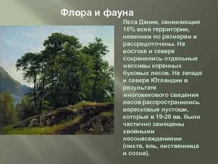 Характеристика флоры
