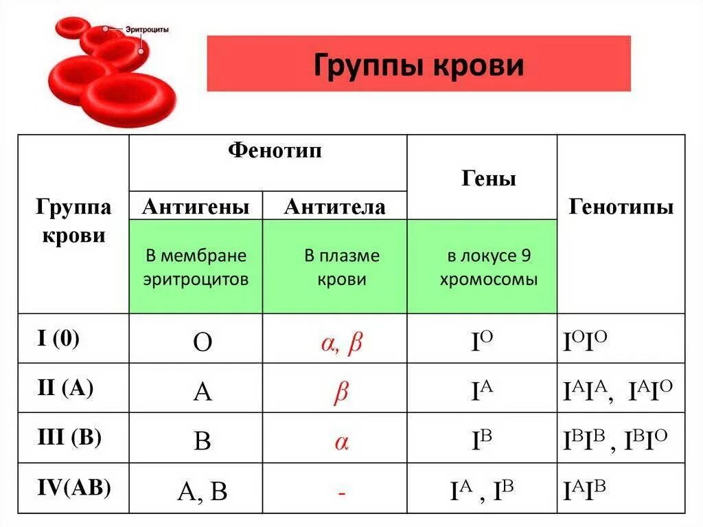 Какая группа отзывы