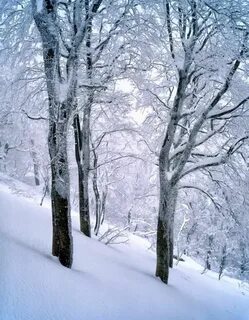 Winter freeze