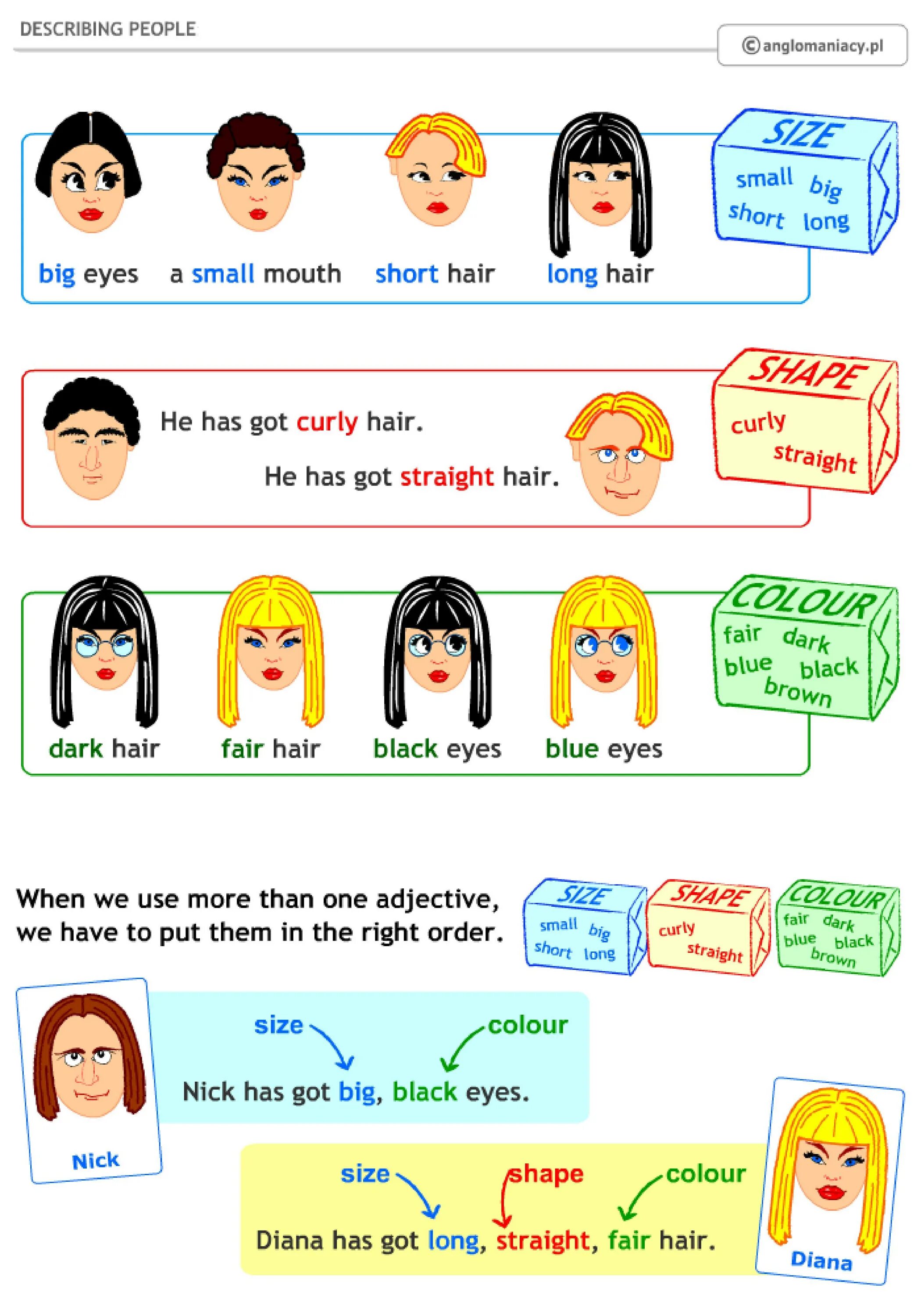 Перевод fair hair английского на русский. Describing people. Describing people Worksheets. Hair Worksheet. Hair and Eyes Worksheets.