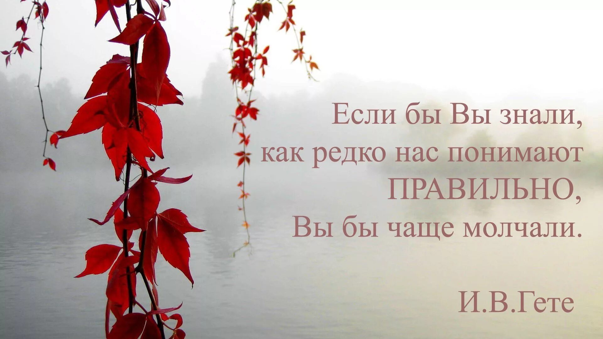 Какое то время и редко. Если бы вы знали как редко нас понимают правильно вы бы чаще молчали. Если бы знали как редко нас правильно понимают. Если вы знали как редко нас понимают правильно бы чаще молчали гёте. Если бы мы знали как часто нас понимают неправильно.