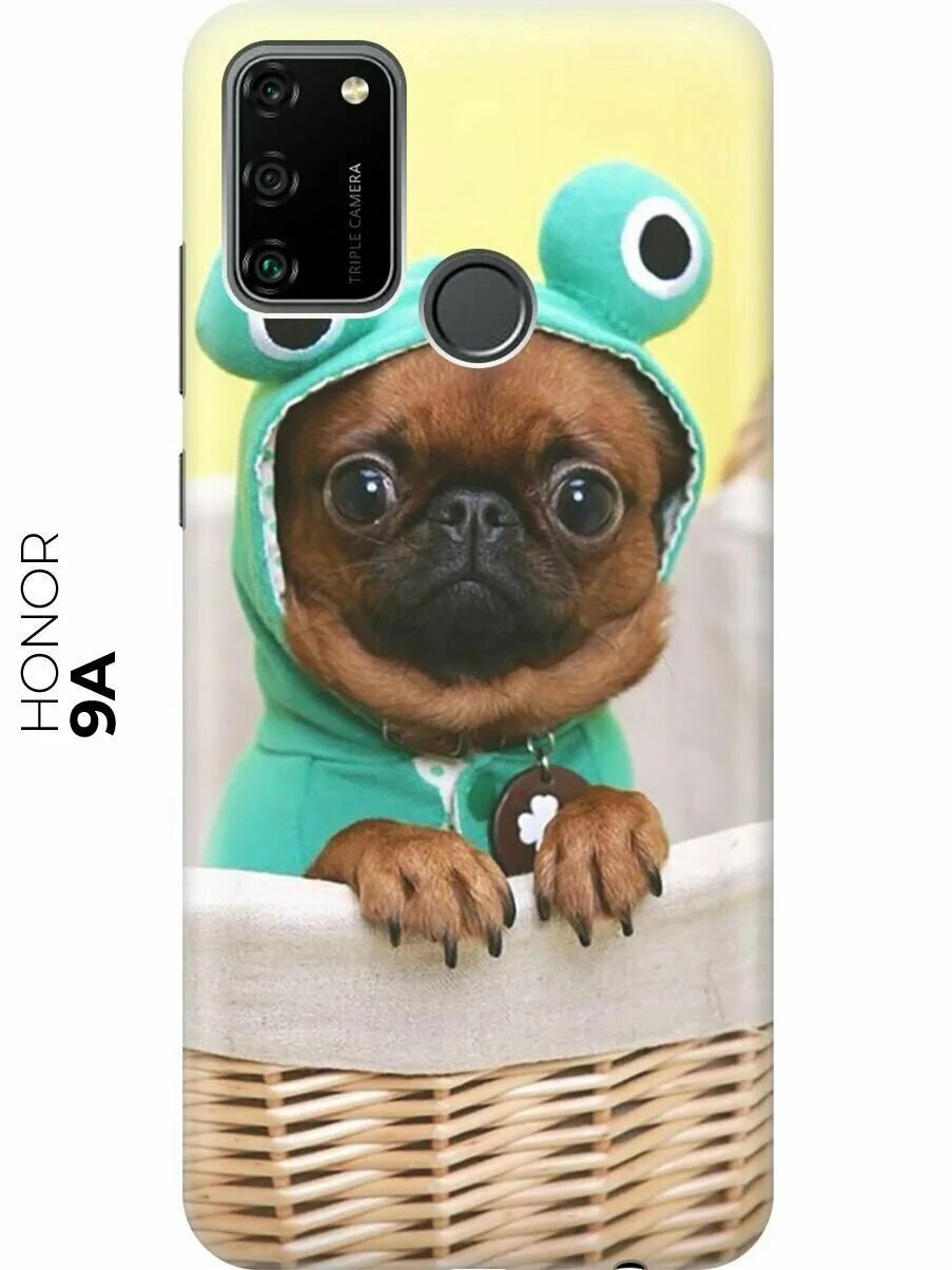 классные собаки. собачки мопсики щенки. прикольные зверушки. милые зверьки. собачки и кошечки.