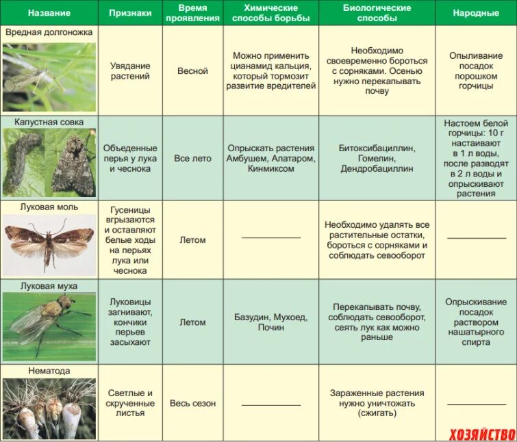 Методы борьбы с насекомыми вредителями таблица. Таблица растений отпугивающих вредителей. Насекомые вредители леса таблица. Вредители сада и огорода таблица. Назовите меры борьбы