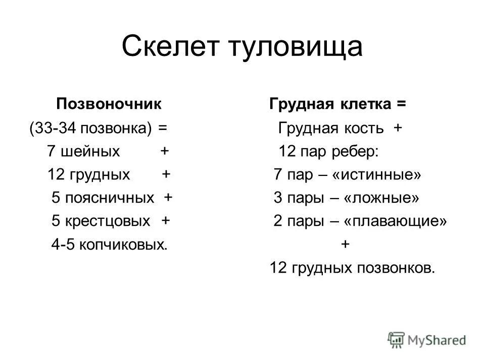 Значение скелета человека. Значение скелета для животных. Строение скелета человека фото. Какое значение скелета для человека.