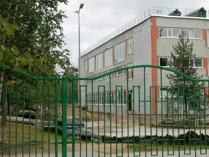 Сош 8 ноябрьск