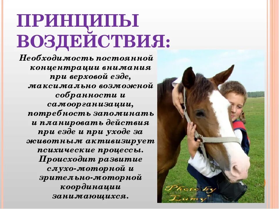 Конный спорт презентация. Действие конского. Действие конского. Цель иппотерапии. Конный спорт интересные факты.