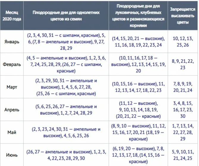 Лунный календарь пересадка комнатных растений 2020. Лунный календарь домашних цветов. Благоприятные дни для пересадки комнатных растений. Благоприятные дни для пересадки домашних цветов. Можно ли сегодня пересаживать растения