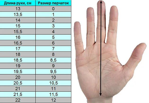 форма пальцев на руках. характер по длине пальцев. безымянный длиннее указательного. если безымянный палец длиннее указательного у мужчин. как измерить руку для варежек.