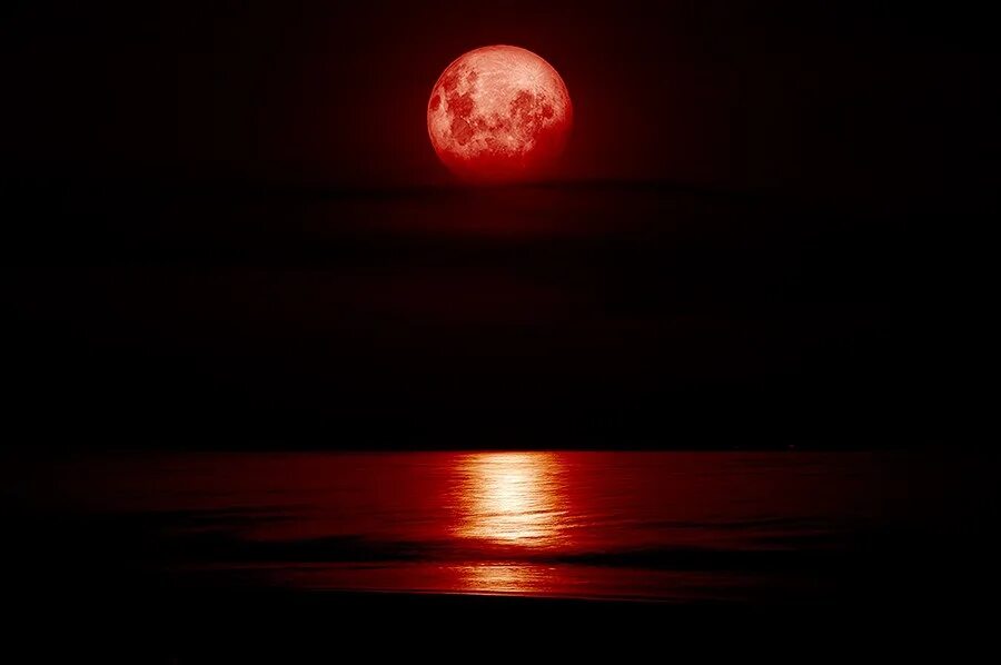 Красная Луна. Кровавая Луна. Кроваво красная Луна. Кровавая Луна фото.