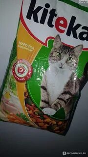 Качество кошачьих кормов