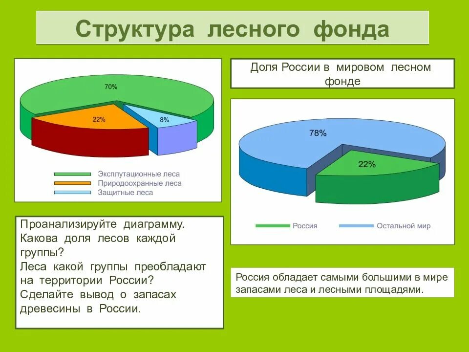 Виды лесного фонда. Лесной фонд группы леса. Лесные ресурсы мира диаграмма. Лесные ресурсы России диаграмма. Доля лесов в России.