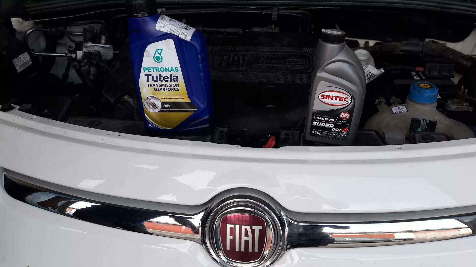 Масло в робот фиат. Fiat фиат 500 масло в коробку кпп. замена тормозной жидкости фиат 500. тормозная жидкость тойота. масло в робот фиат панда.