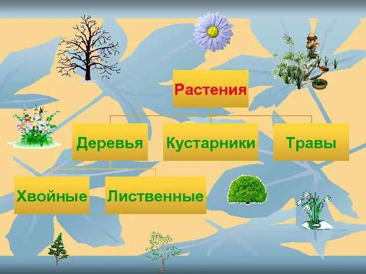 Дерево относится - найдено 80 картинок