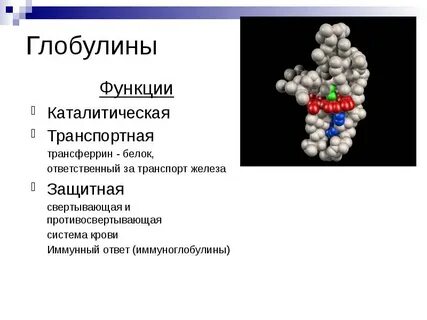 Гамма белки