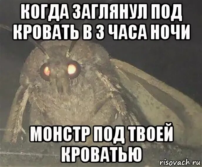 Монстры спят не под твоей кроватью они спят в твоей голове. Потри страницу стикер. Под твоей кроватью дорама. Кто такая вова. Потри страницу мем.