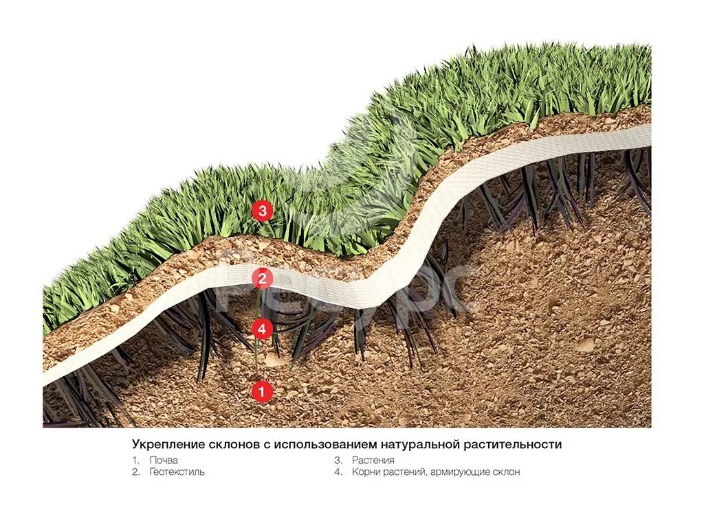Пресечь на корню. Геотекстиль Нео ландшафт. Геотекстиль в ландшафте. Растения для укрепления склонов. Геотекстиль для дачного ландшафта.