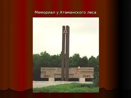 Лес старый оскол