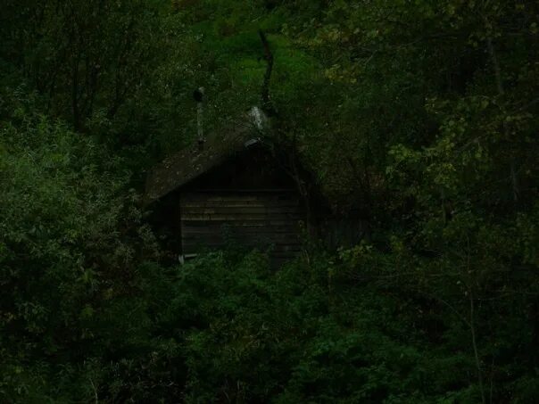 Нашли дом ведьмы. Домик Лесной ведьмы. Дом ведьмы в лесу настоящий. Избушка ведьмы в лесу. Ведьмин домик в лесу настоящий.