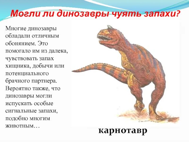 Загадки про динозавров для детей. Стихи про динозавров для детей. Физминутка динозавры для детей. Детские стихи про динозавров. Вопросы динозавра