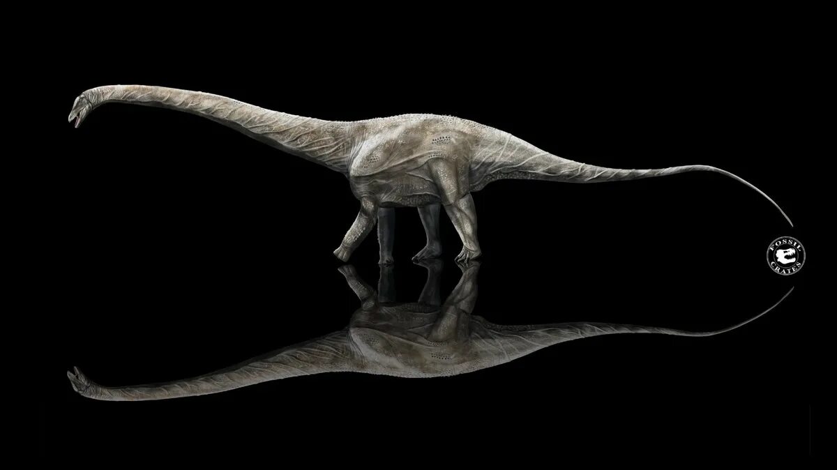 Какой динозавр самый длинный. Supersaurus vivianae. кнутохвостый суперзавр. суперзавр динозавр. самый большой динозавр.