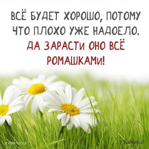 Все будет хорошо плохо надоело потому что картинка. Хорошо всё будет хорошо. Уставший ежик. Группа женский мир. У меня все будет хорошо.