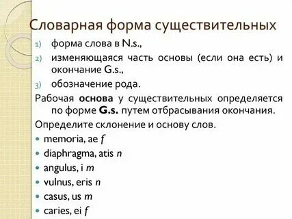 Правильная словарная форма существительного