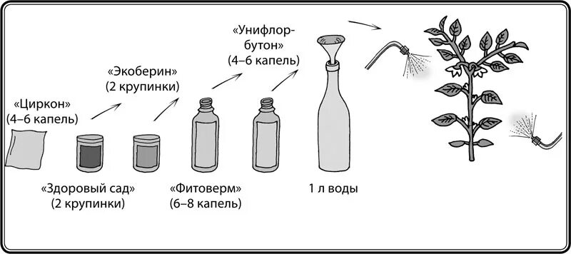 Сколько капель циркона на литр воды. Схема подкормки томатов. Схема удобрения рассады. Схема удобрения перца. Биококтейль для растений.