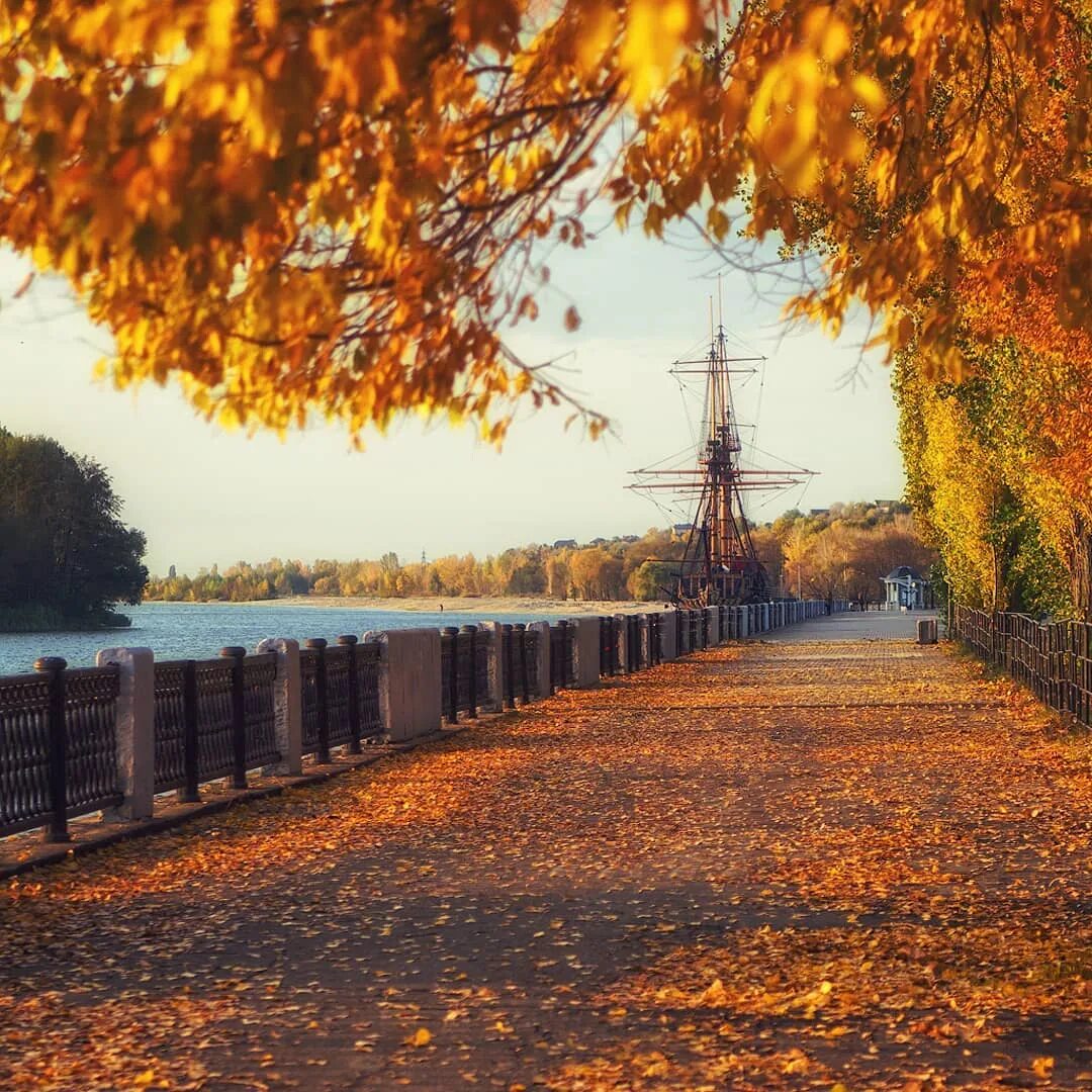 Золотая осень воронеж. Золотая осень в воронеже. Золотая осень воронеж. Парк орленок воронеж 2022. Осень в городе.