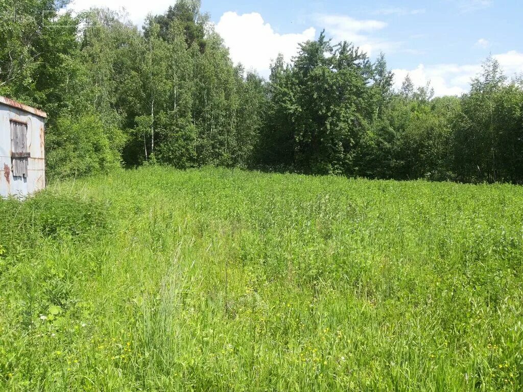 Продать землю снт. Снт эдельвейс. снт эдельвейс московская область. участок 8 соток. участок без дома.
