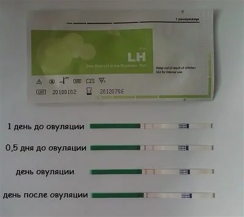 Через сколько можно узнать беременность после зачатия. Выделения при овуляции и тест на овуляцию. тест на овуляцию и беременность. на тесте овуляция выделения. тест на овуляцию при беременности.