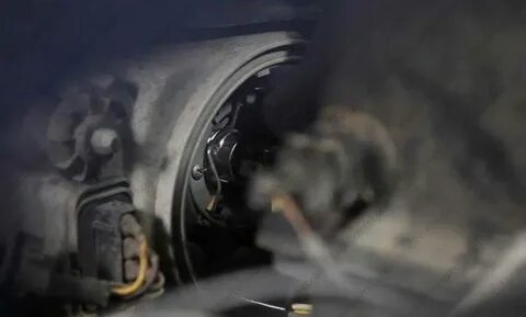 Заменить лампу ближнего света фольксваген поло