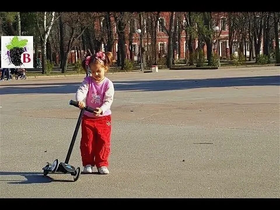 Быстрый самокат песня мы берем. Петух на самокате. Ребенок на самокате. Петушки на самокате. Чорт на самокате.