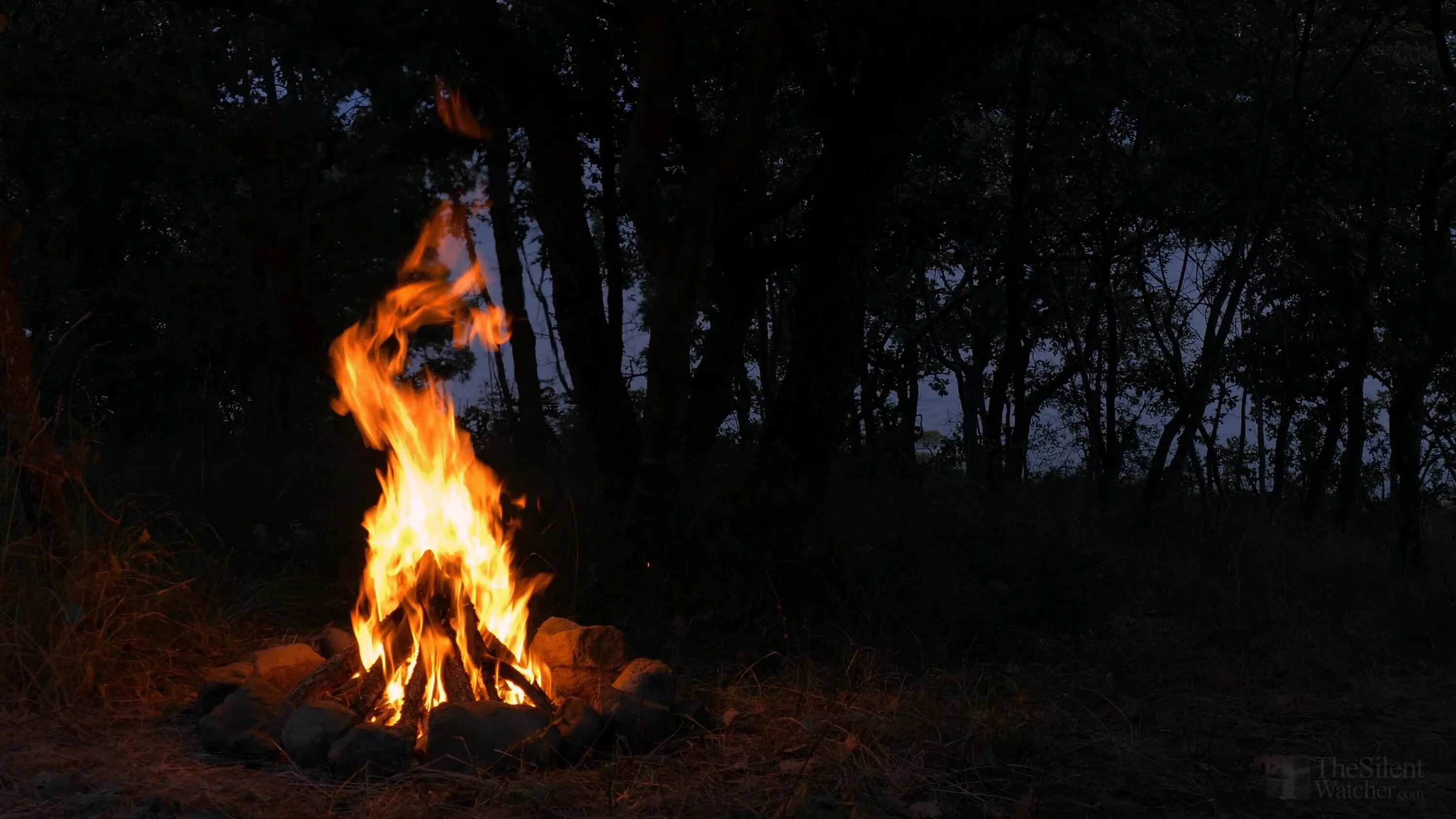 Fire on the hole. Ночной костер в лесу. Горящий костер. Костёр в лесу ночью. Пламя в лесу.