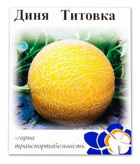 Дыня 10 5