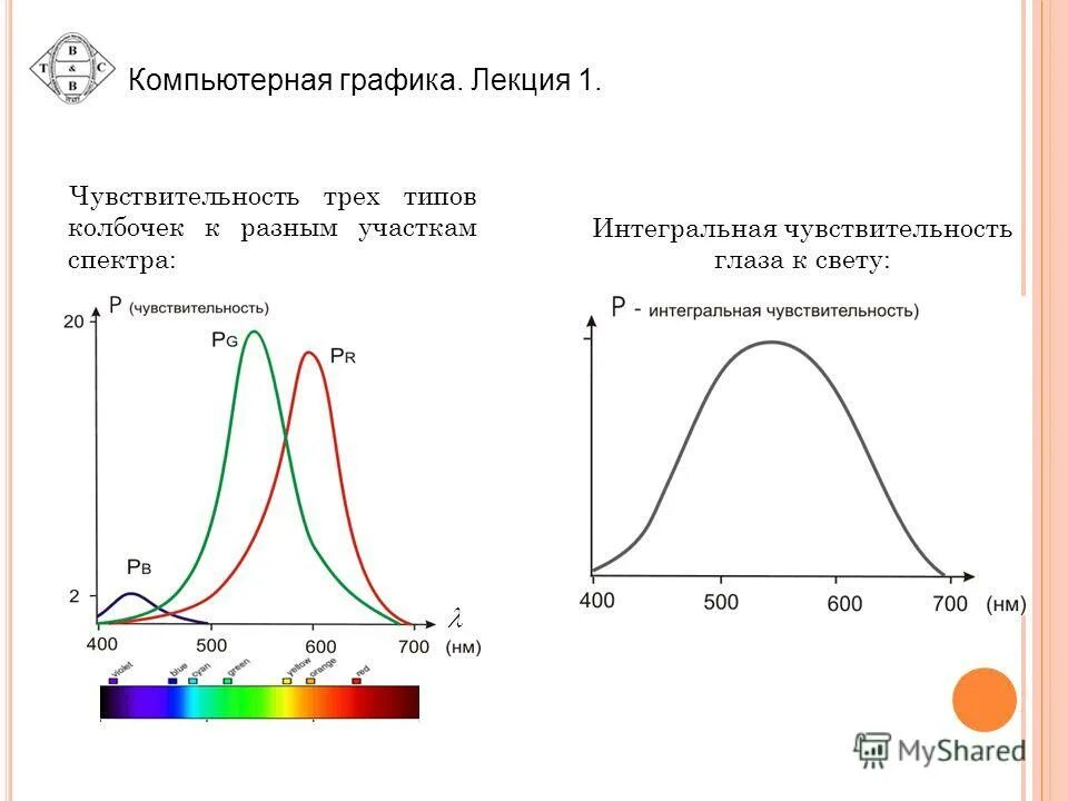 Сегментарная иннервация тела человека схема. Лидокаин спрей аэрозоль для члена. Корковый тип нарушения чувствительности. Чувствительность пч. Проводниковый тип нарушения чувствительности.