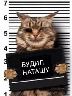 Разбуди свету