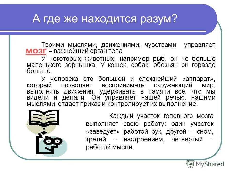 Сотворение вселенной. Разум находится в. Искусственный интеллект. Искусственный интеллект. Ложное эго и истинное эго.