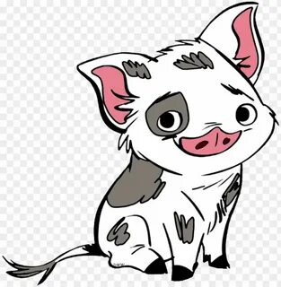 Pua