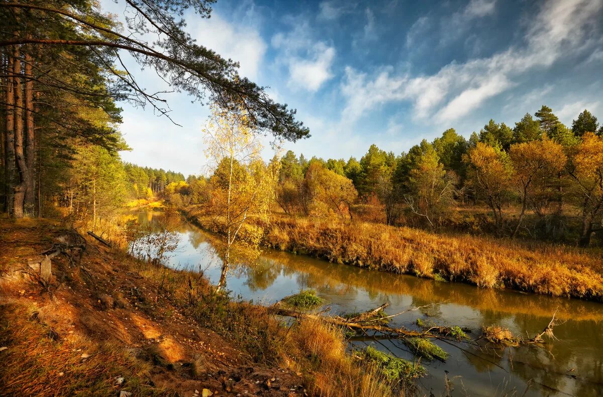 владимирская река киржач. владимирская река киржач. река киржач владимирская область город кирчаж. река большой киржач. природа киржача.