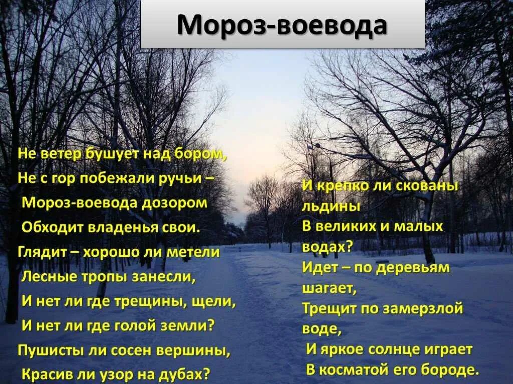 Зимние стихотворения некрасова. Стих Некрасова Мороз Воевода. Стихотворение н Некрасова Мороз Воевода. Некрасов не ветер бушует. Стихотворение Некрасова Мороз Воевода текст.